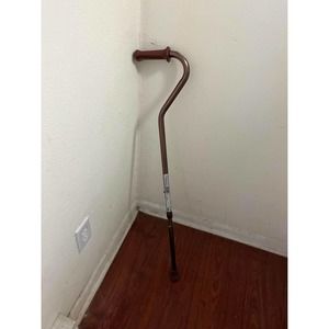 Extendable Metal Cane